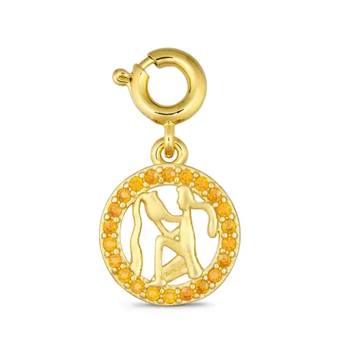 ANNEBRAUNER Aquarius Charm (Vandmand Stjernetegn) — produktfoto