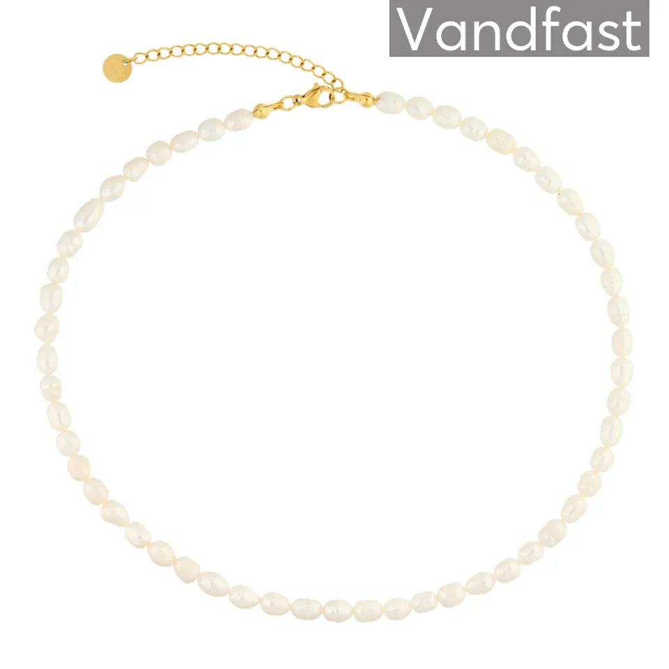 ANNEBRAUNER Pearl Halskæde 18K Guldbelagt — produktfoto