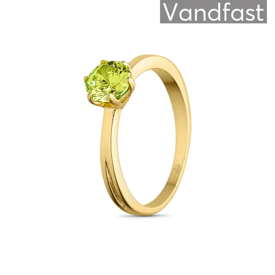 ANNEBRAUNER Princess D-Apple Ring 18K Guldbelagt — produktfoto